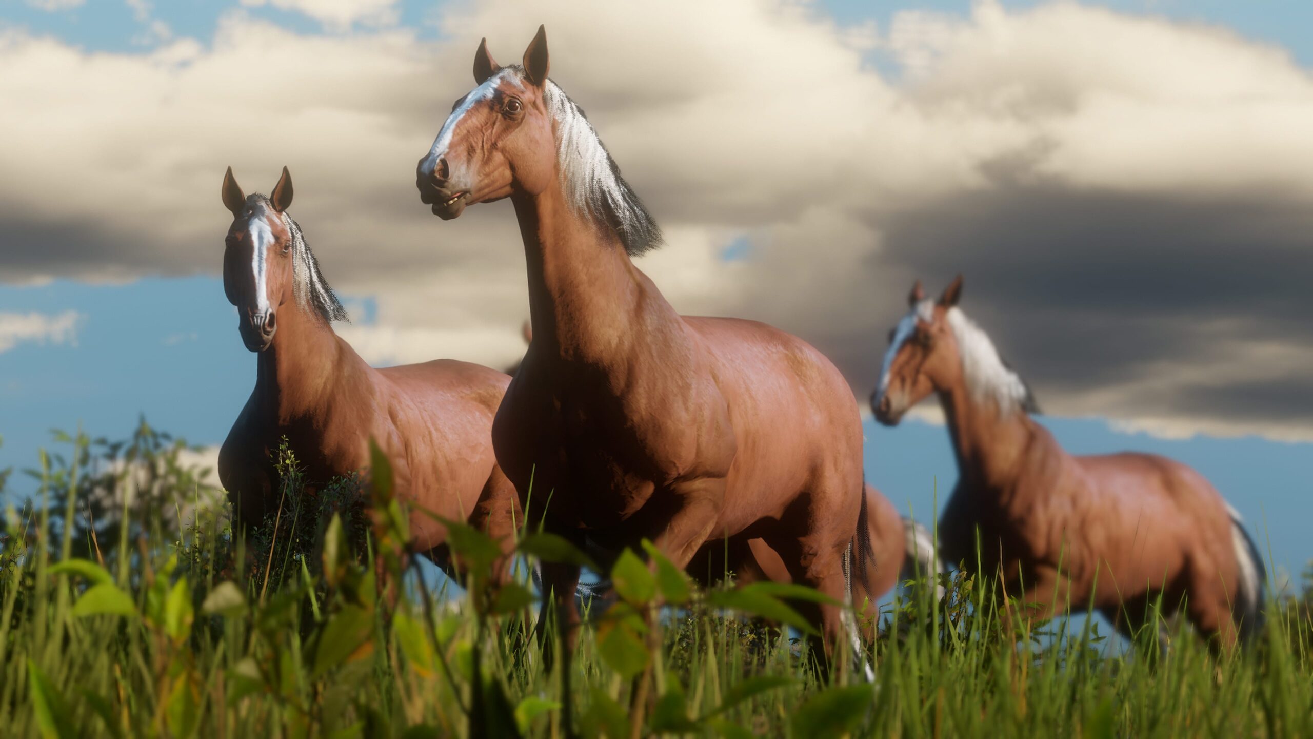 Red Dead Redemption 2 terá 19 raças de cavalos | Detalhes do sistema de desempenho 5