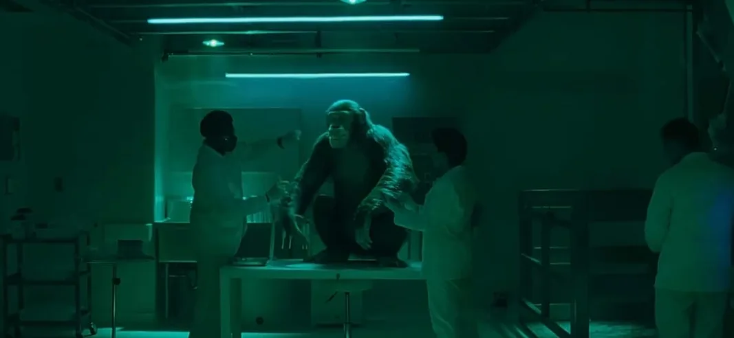 Review do 6º episódio de The Beauty: os verdadeiros efeitos da fórmula 4 Review do 6º episódio de The Beauty: os verdadeiros efeitos da fórmula