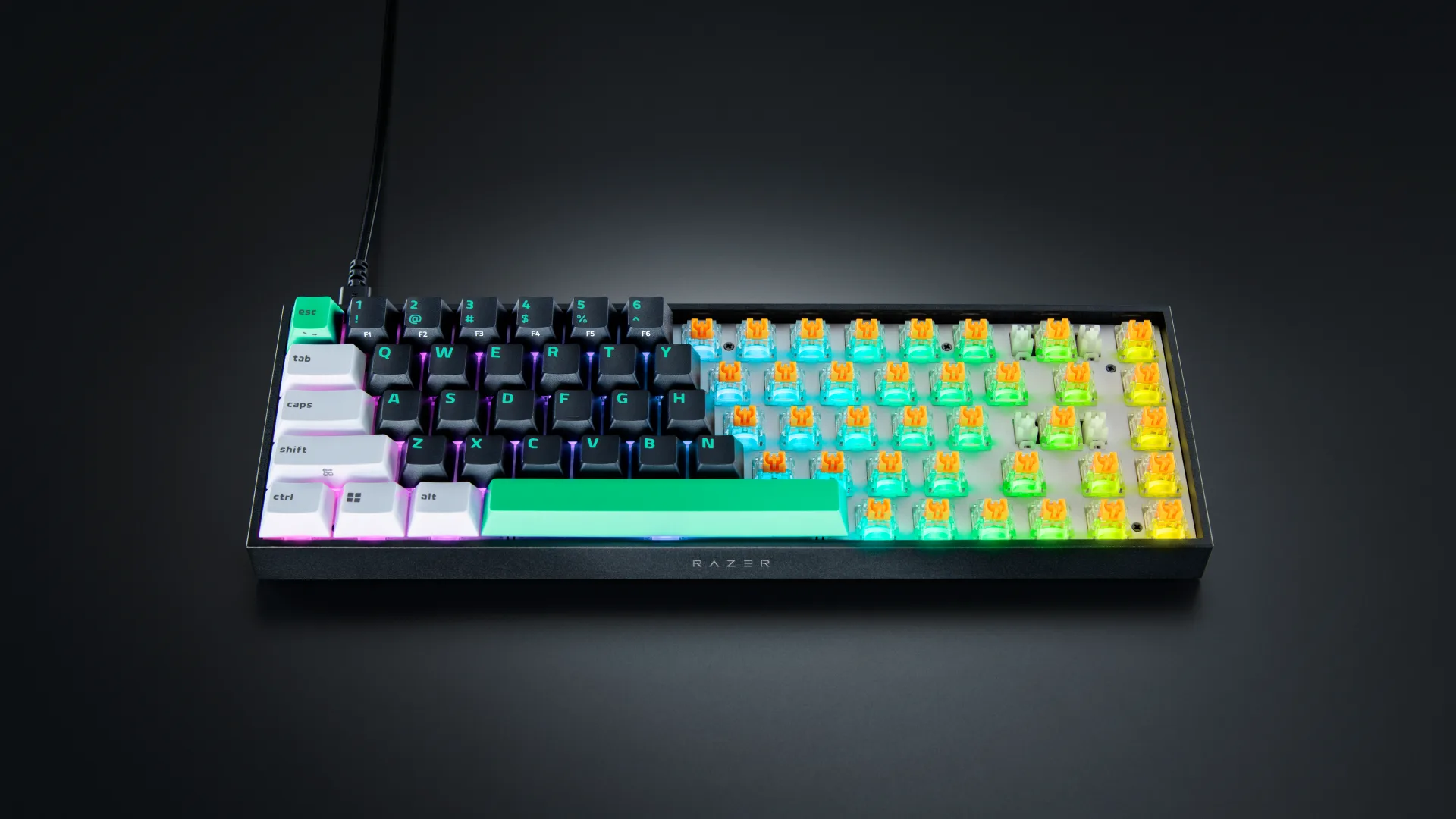 Razer Reclusa X Mini 65% estreia com foco em personalização e alto desempenho para jogos 3 Razer Reclusa X Mini 65% estreia com foco em personalização e alto desempenho para jogos